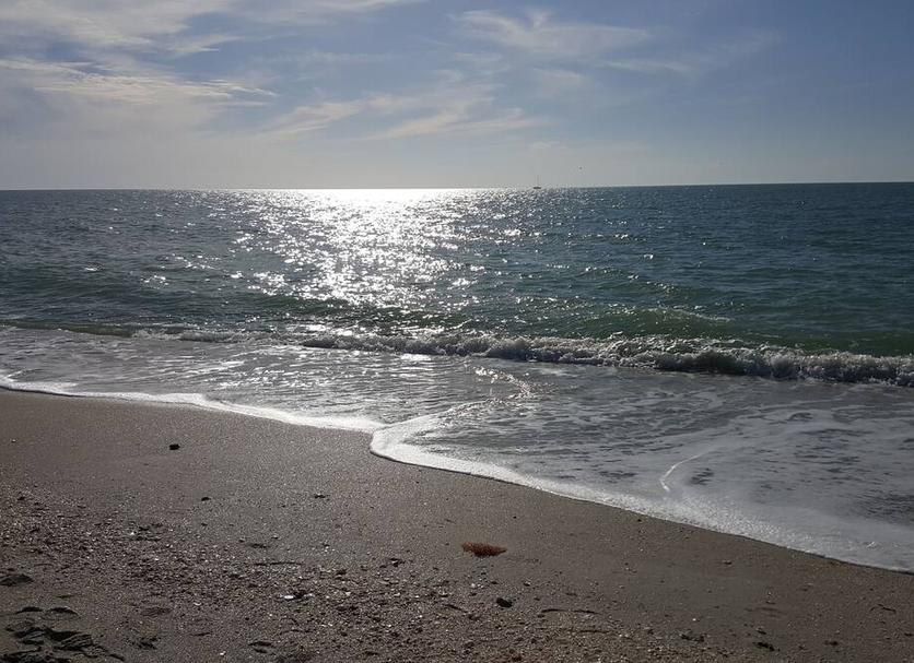 Beach Photo