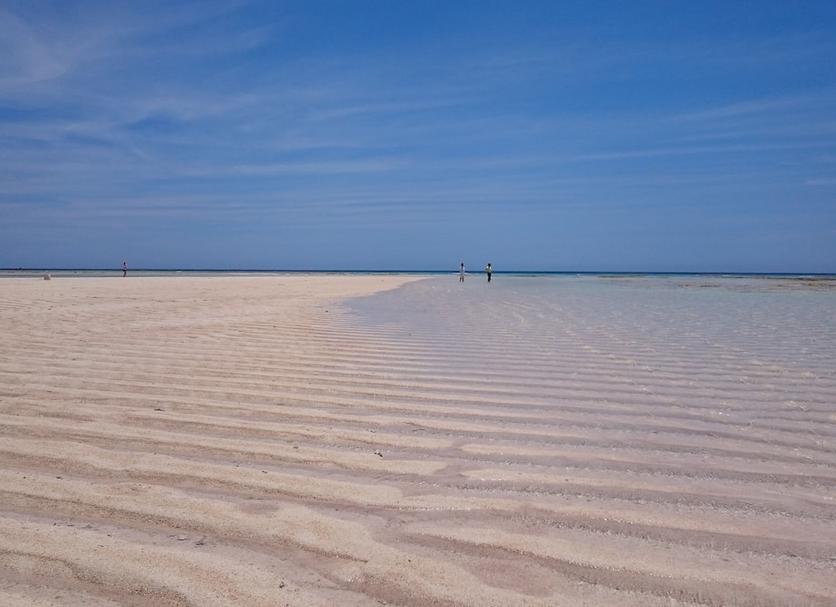 Beach Photo