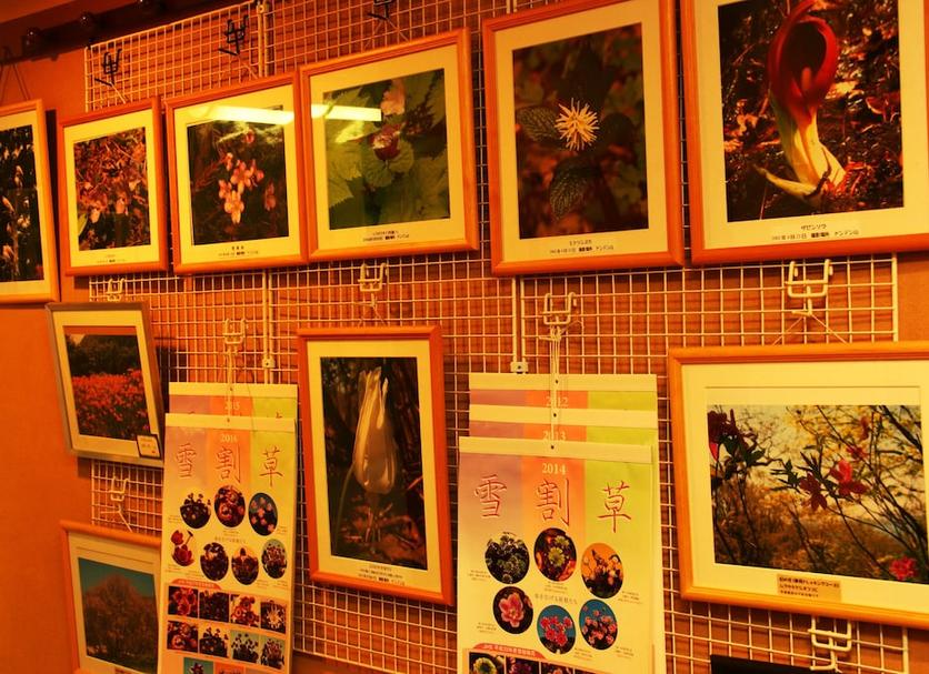 Hotel amenity Photo