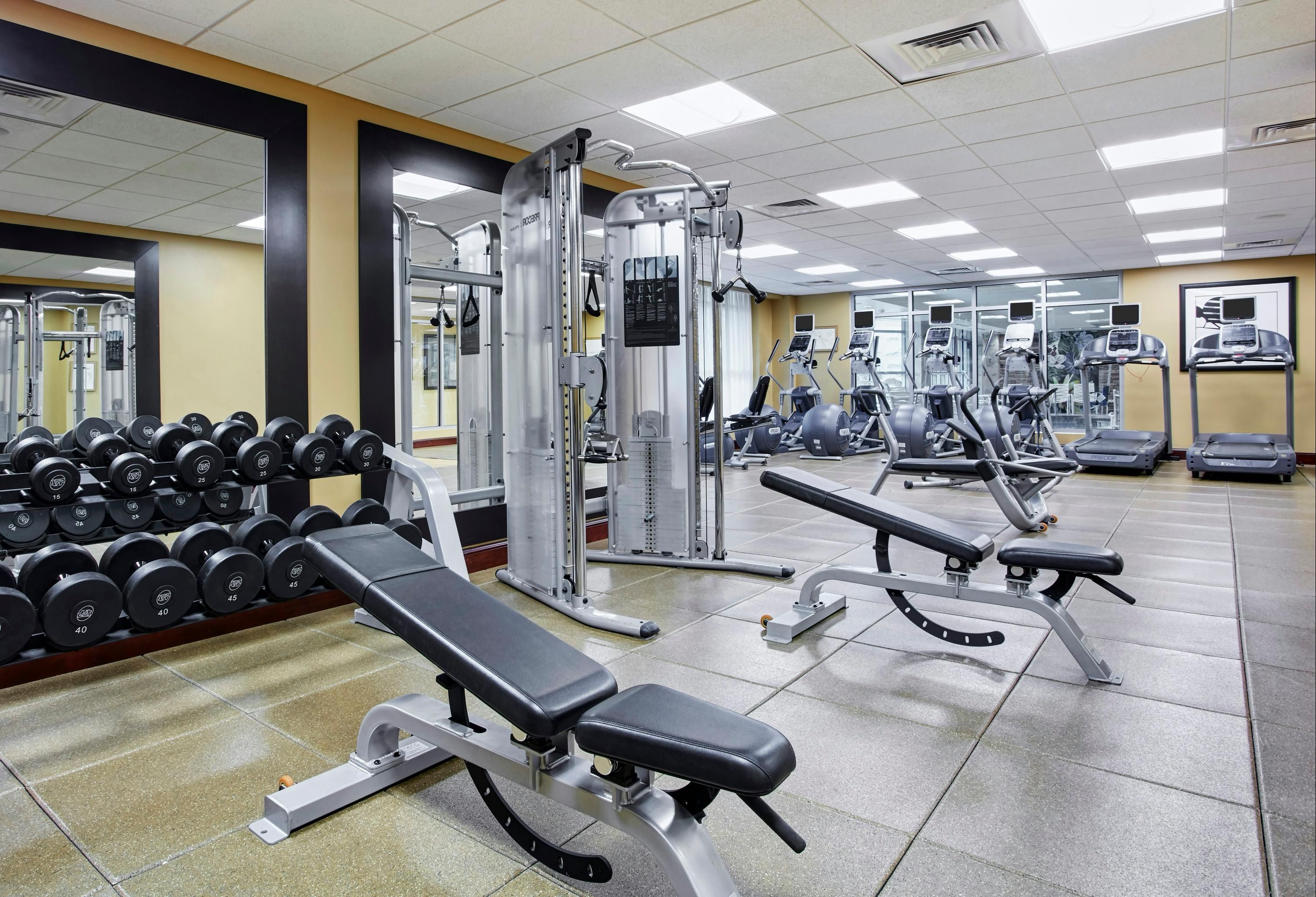 Gym