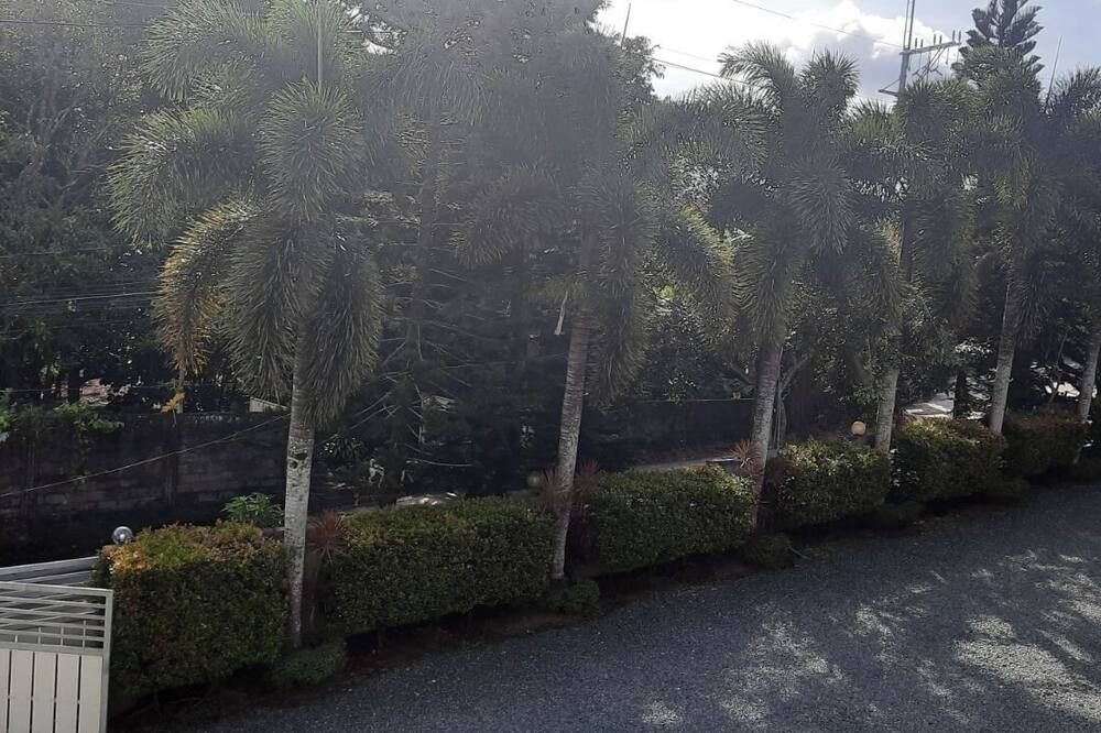 Outdoor view
