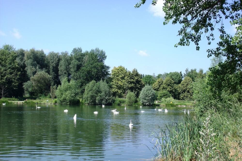 Outdoor view