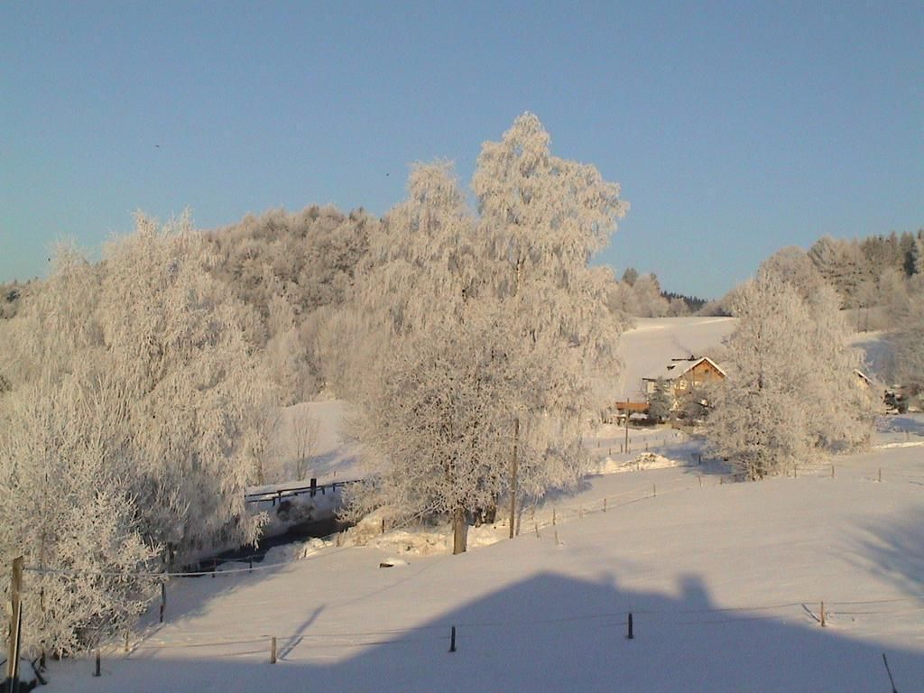 Outdoor view