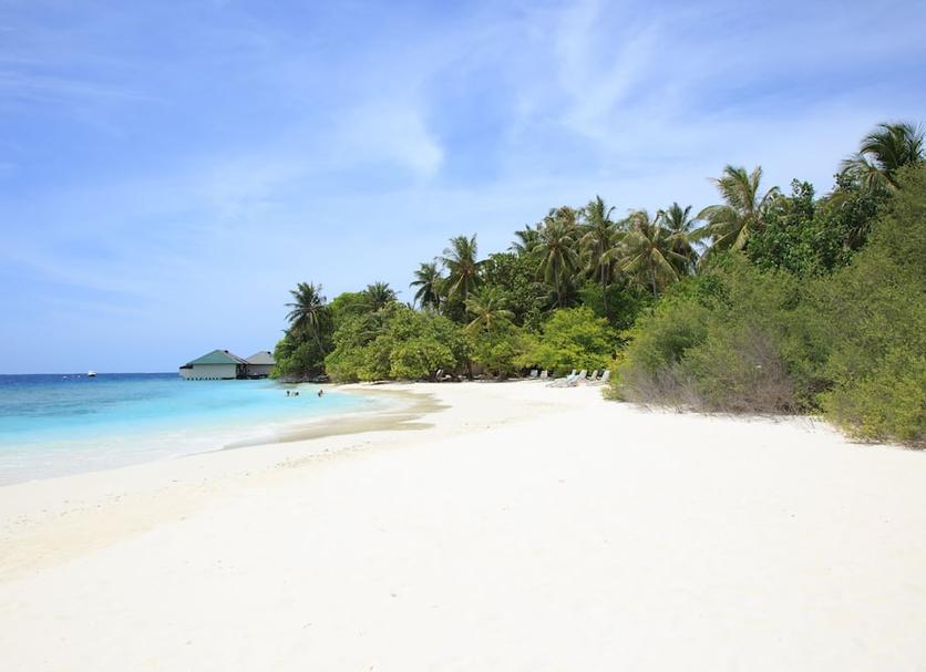 Beach Photo