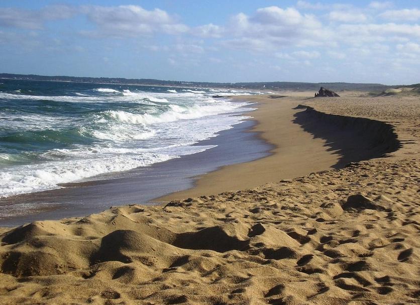 Beach Photo