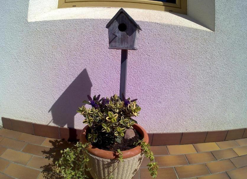Other Photo