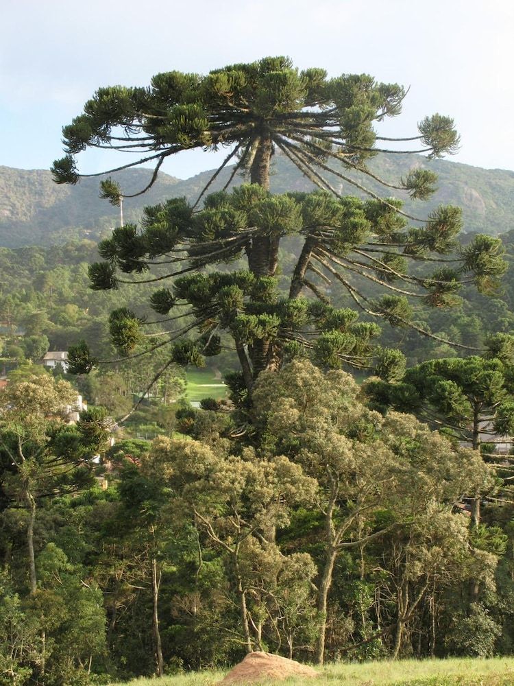 Outdoor view
