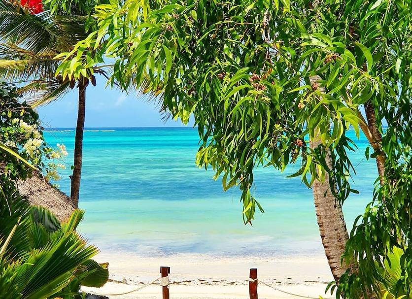 Beach Photo