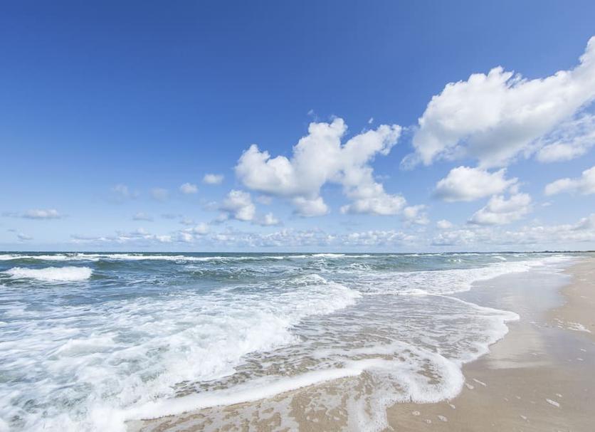 Beach Photo