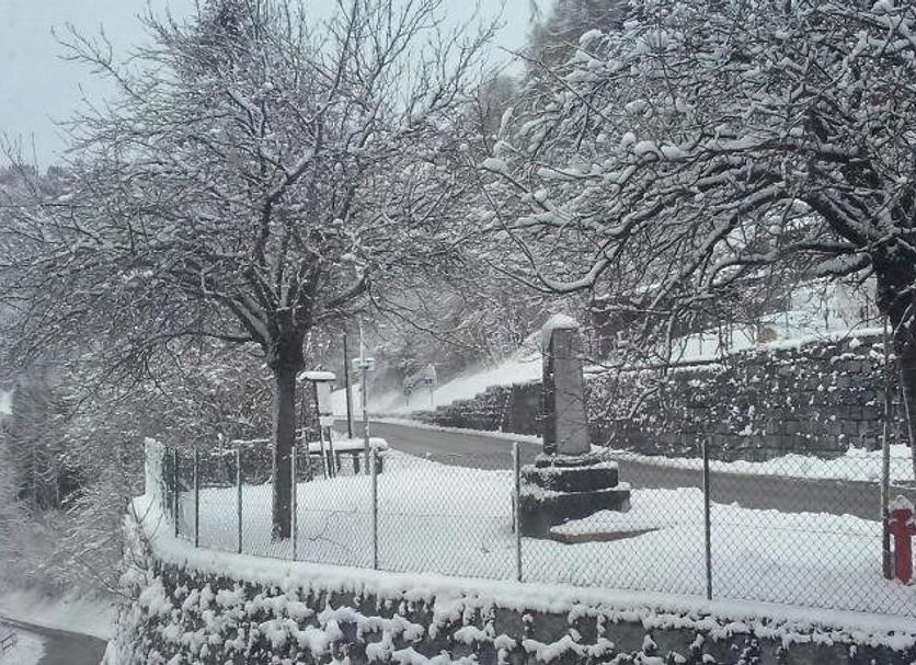 Other Photo