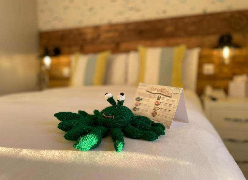 Room amenity Photo