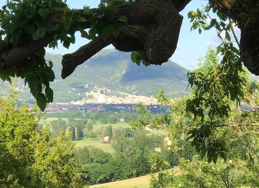 Outdoor view Photo
