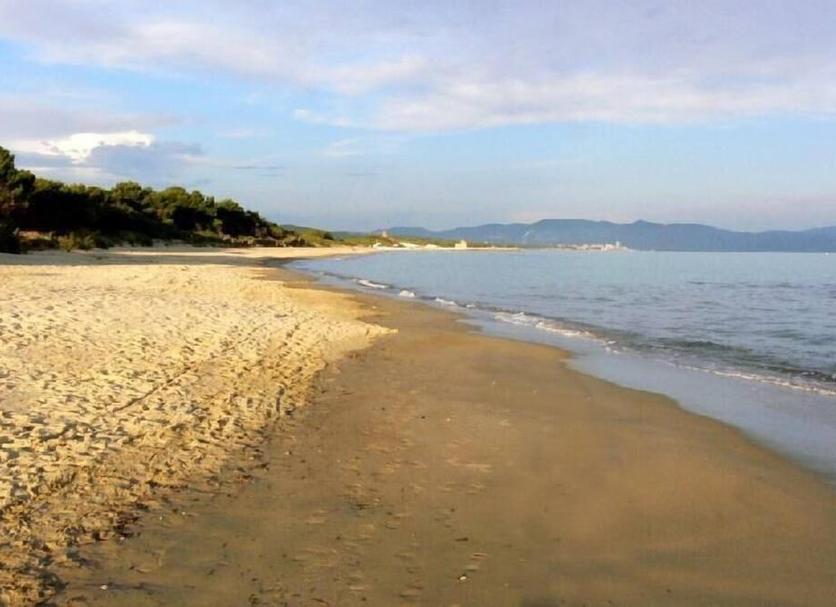 Beach Photo
