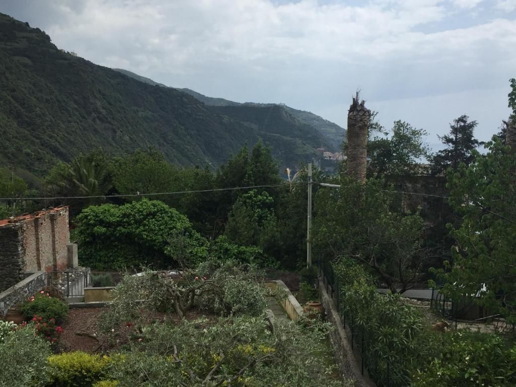 Outdoor view