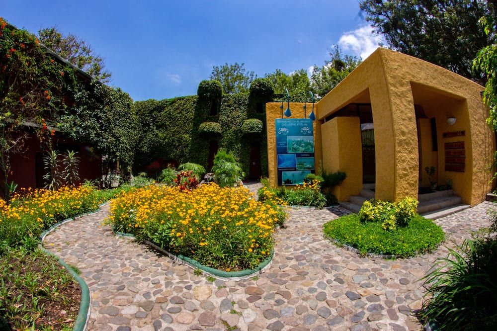 Outdoor view