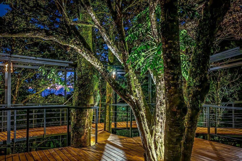 Outdoor view