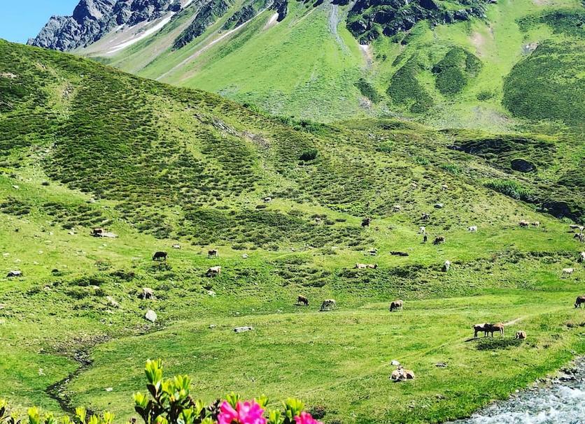 Outdoor view Photo