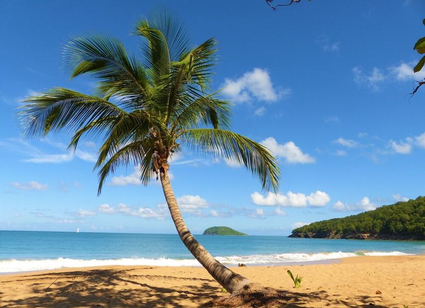 Beach Photo