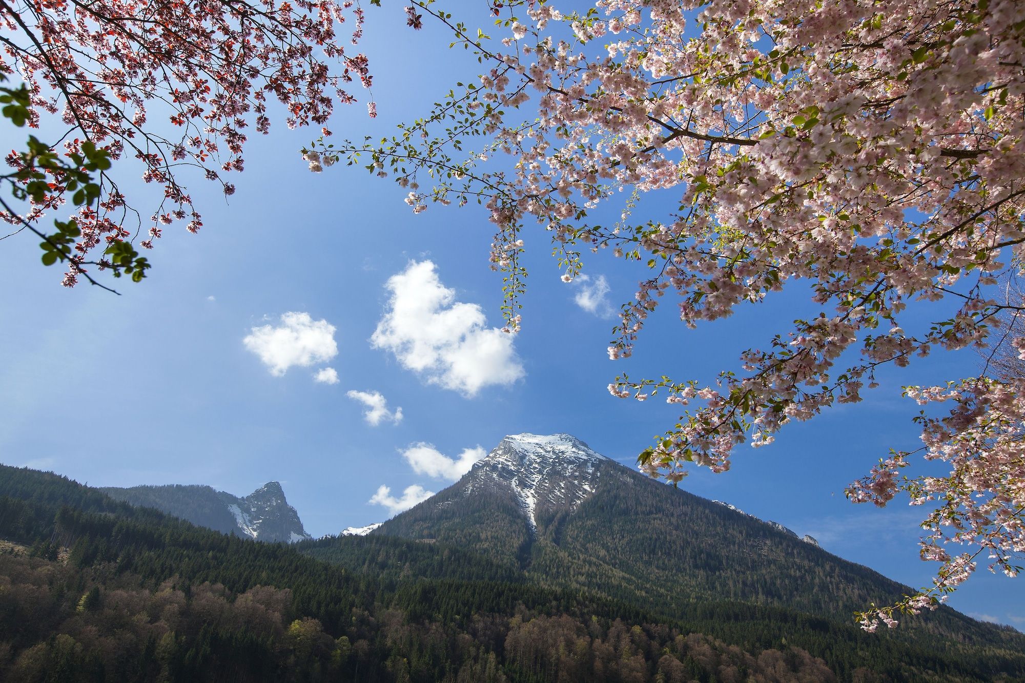 Outdoor view