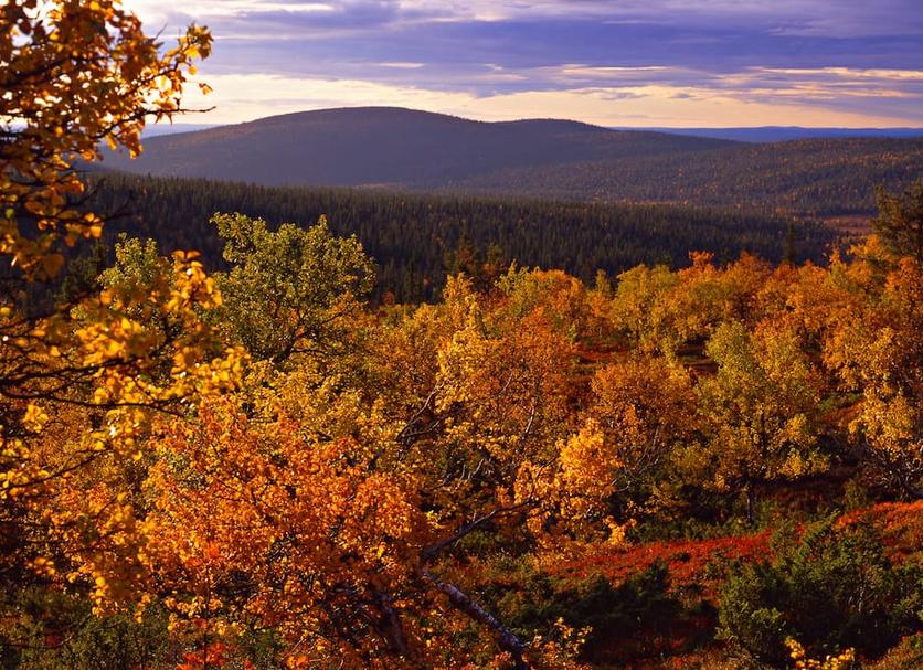 Outdoor view Photo