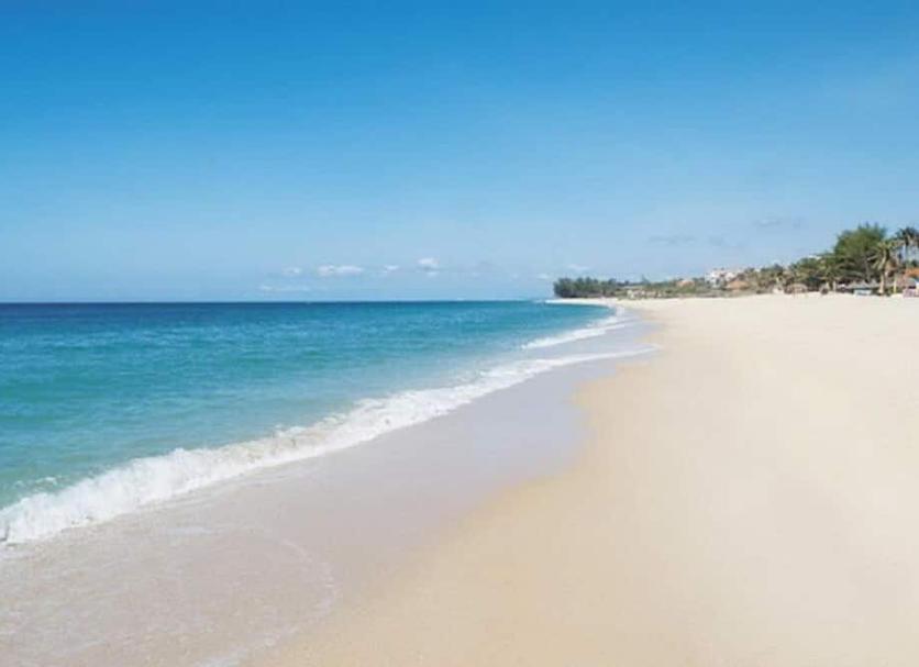 Beach Photo