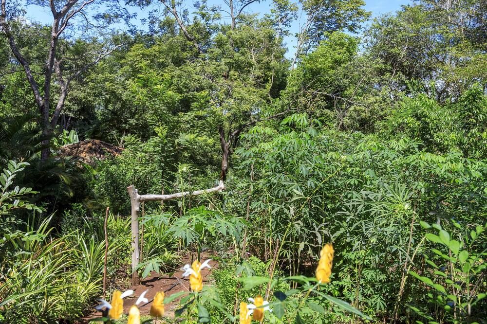 Outdoor view
