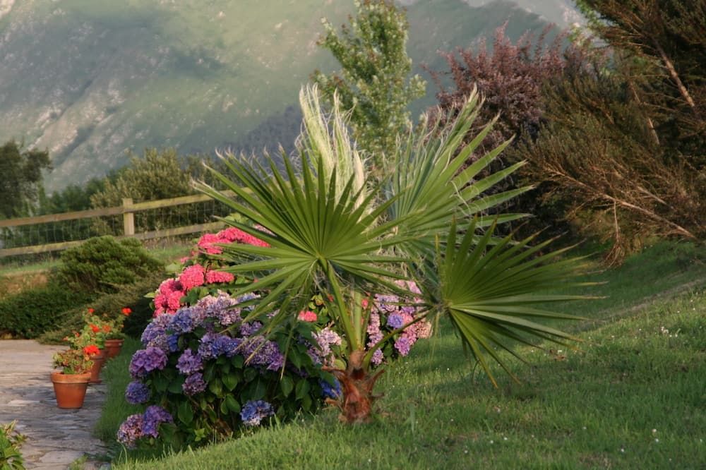 Outdoor view