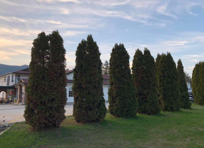 Outdoor view Photo
