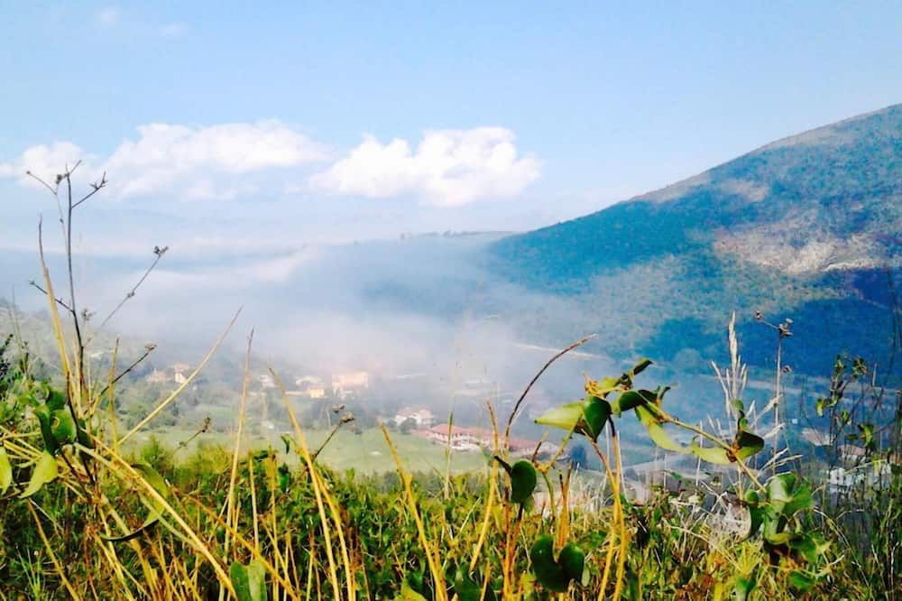 Outdoor view