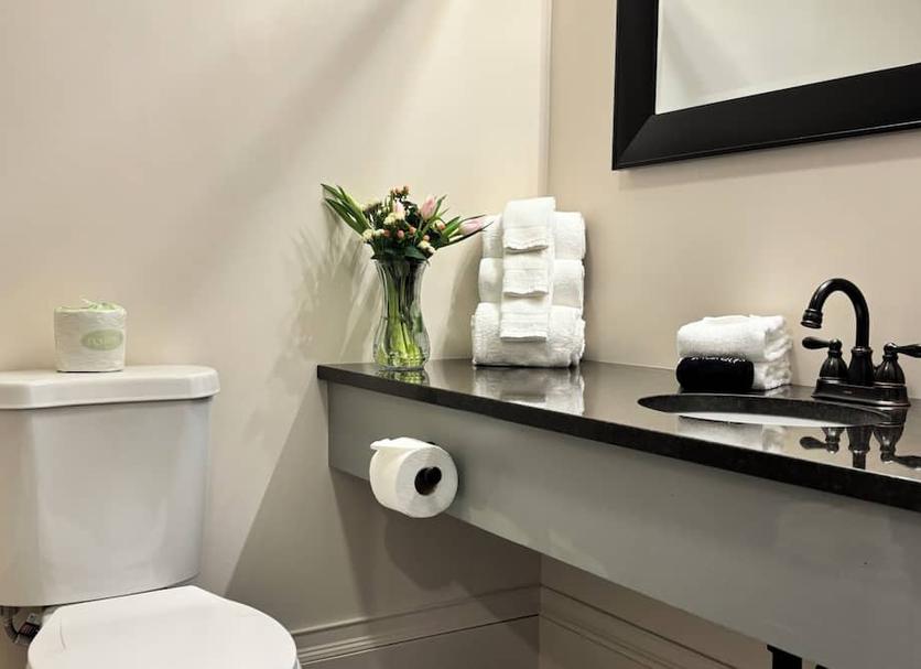 Room amenity Photo