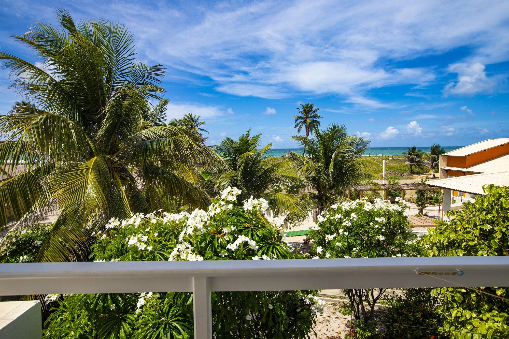 Outdoor view