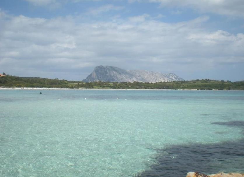 Other Photo