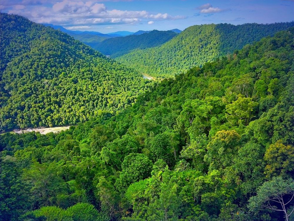 Outdoor view