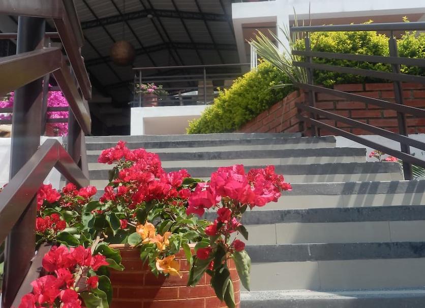 Stairs Photo