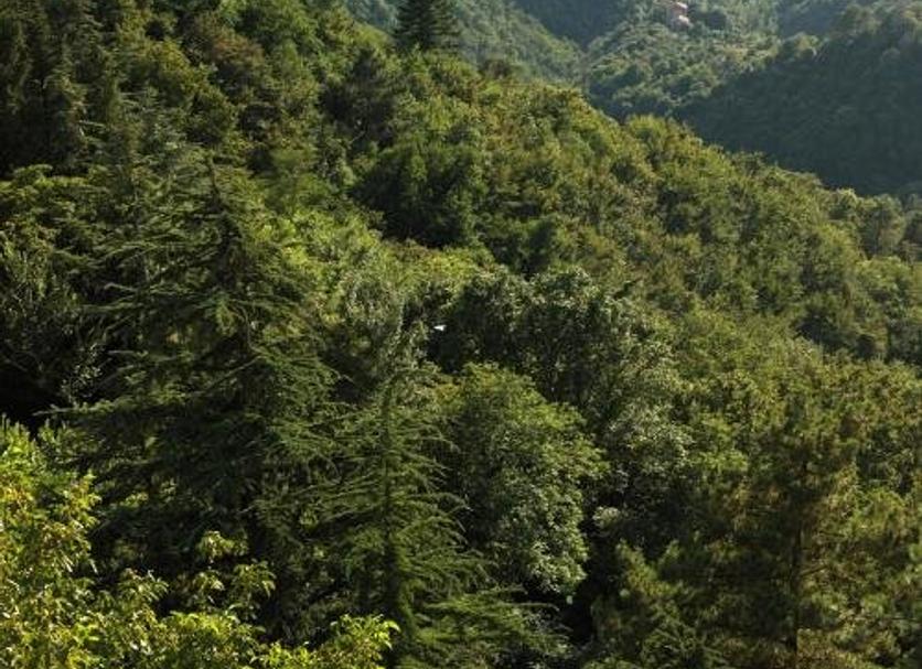Outdoor view Photo