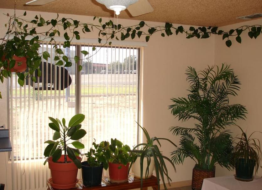 Other Photo