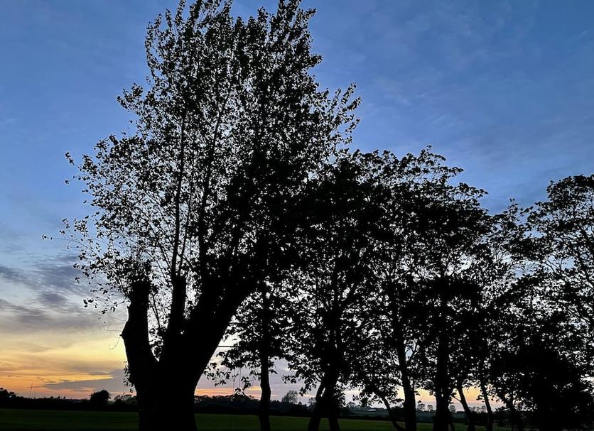 Outdoor view Photo