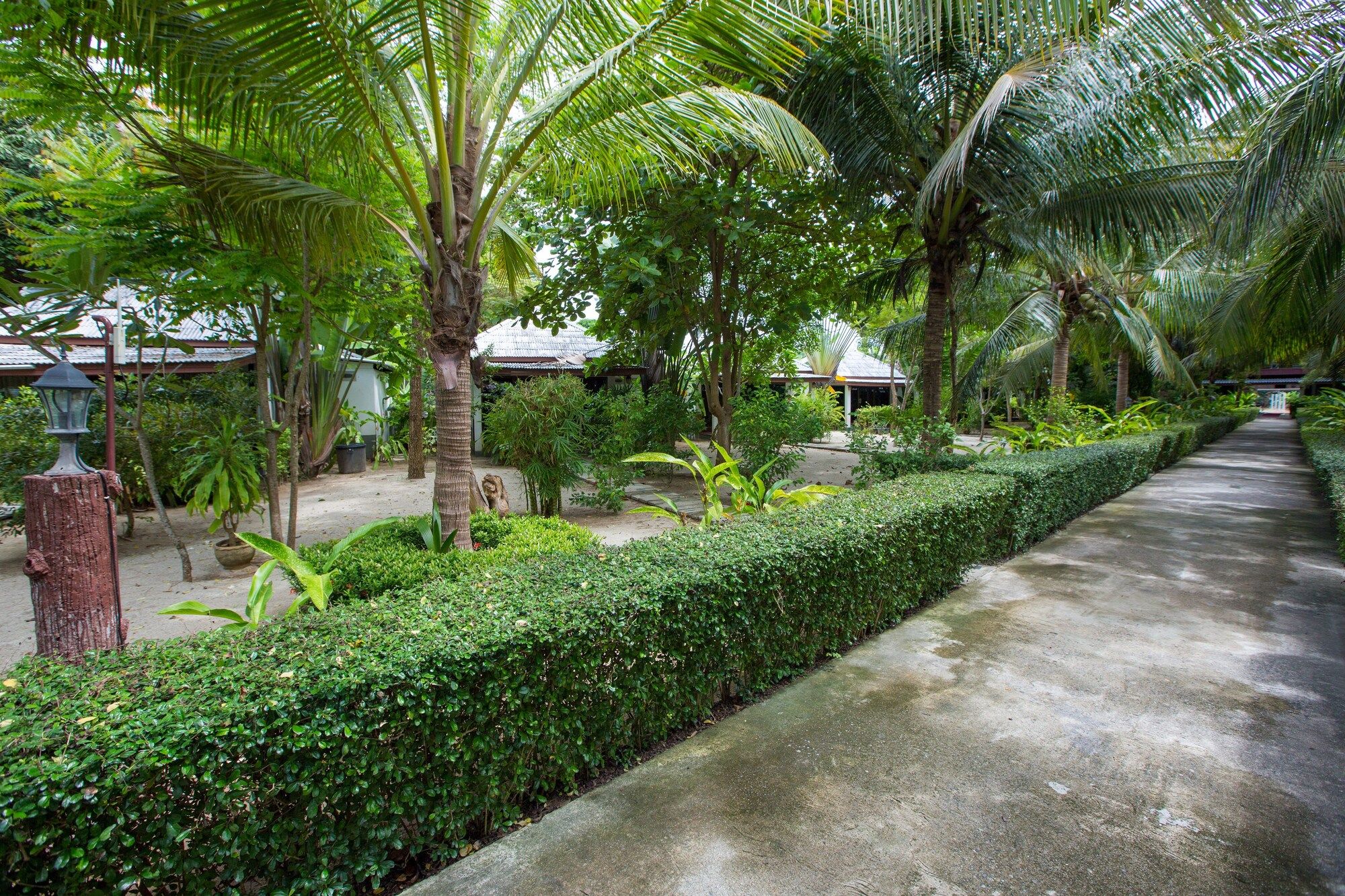 Outdoor view
