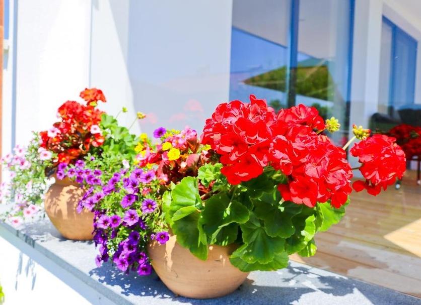 Outdoor view Photo