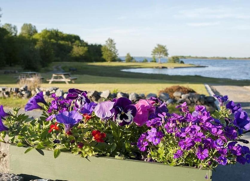 Outdoor view Photo