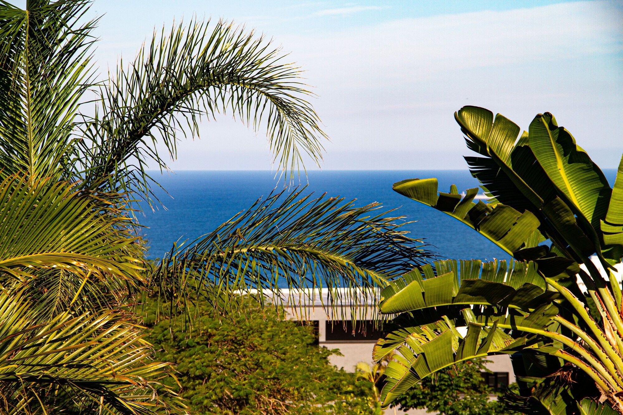 Outdoor view