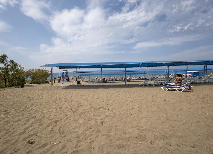 Beach Photo
