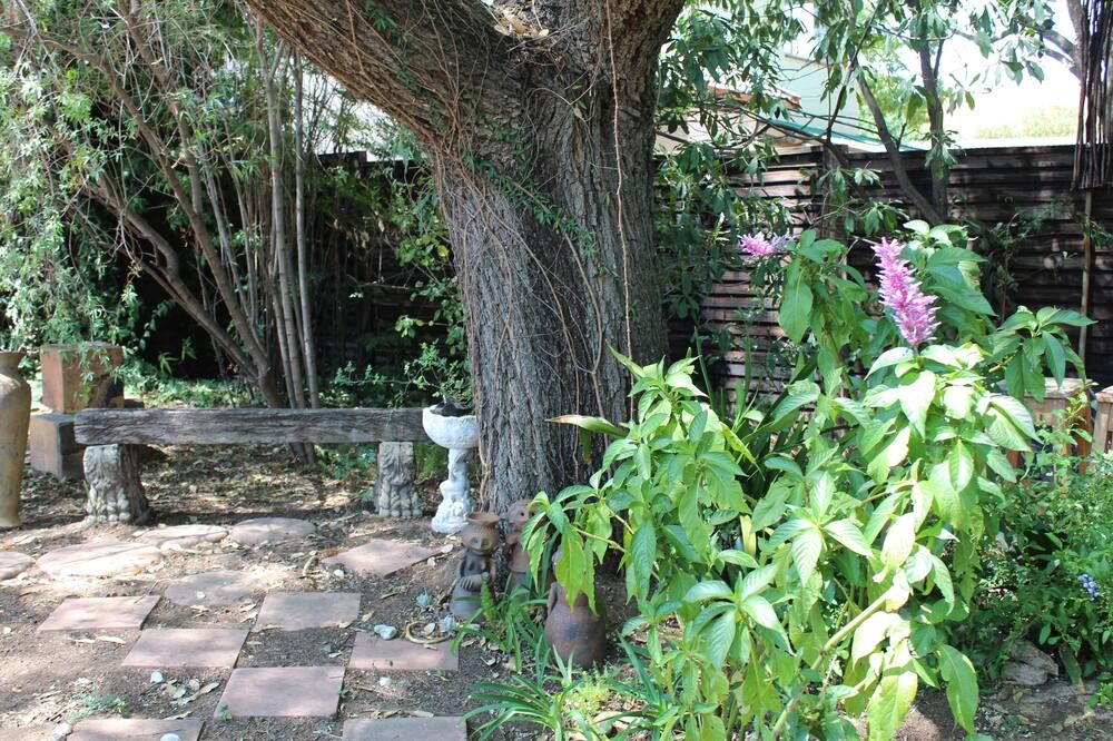 Outdoor view