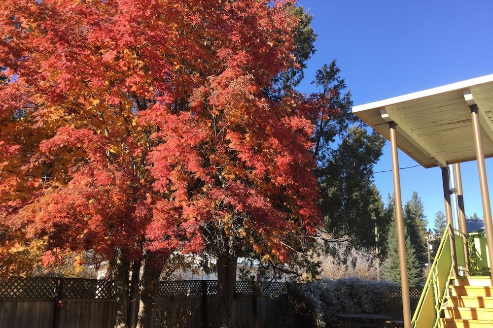 Outdoor view