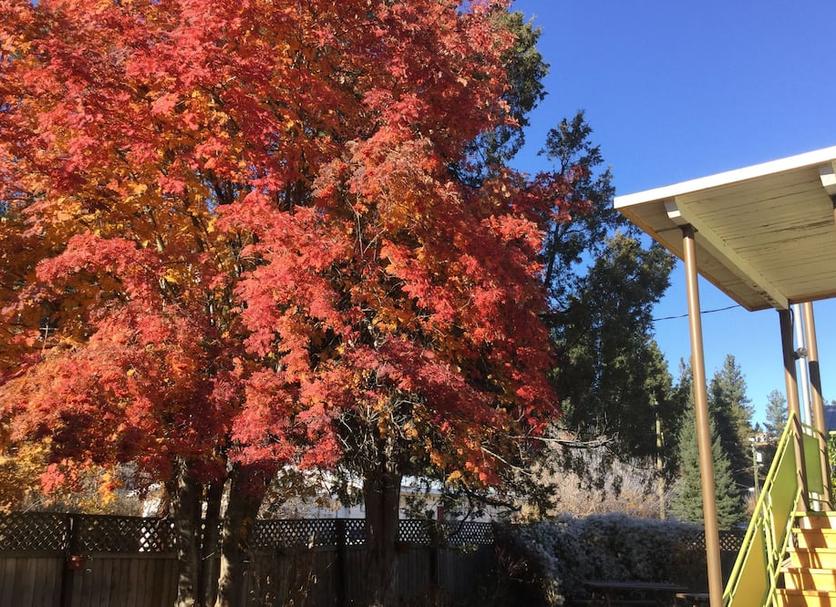 Outdoor view Photo
