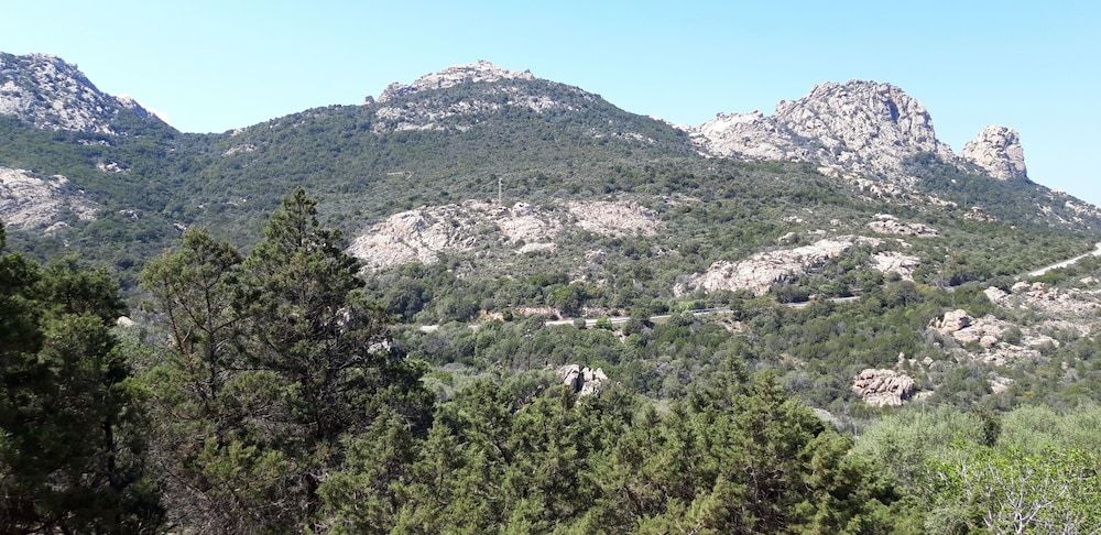 Outdoor view