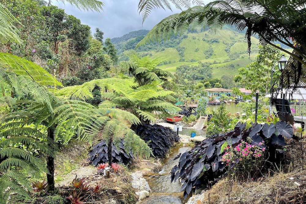 Outdoor view