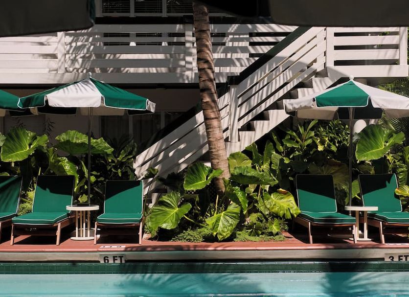 Pool Photo