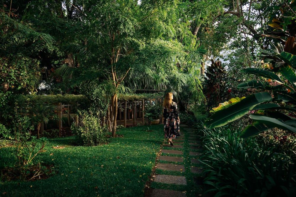 Outdoor view