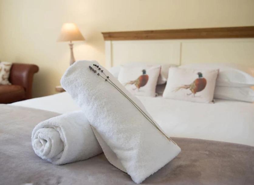 Room amenity Photo